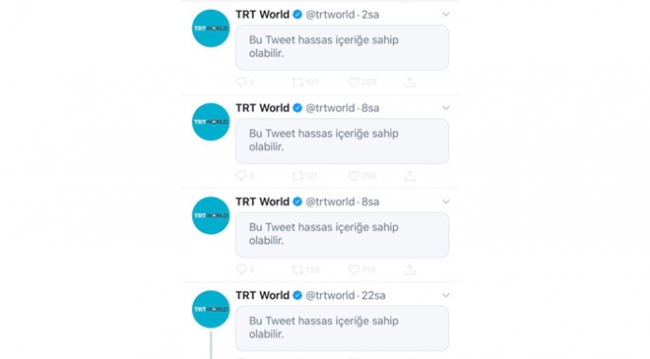 'Barış Pınarı' kara propagandayı da yendi